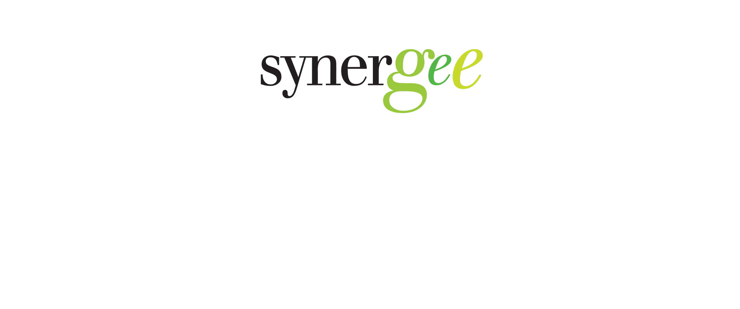 logobridge2