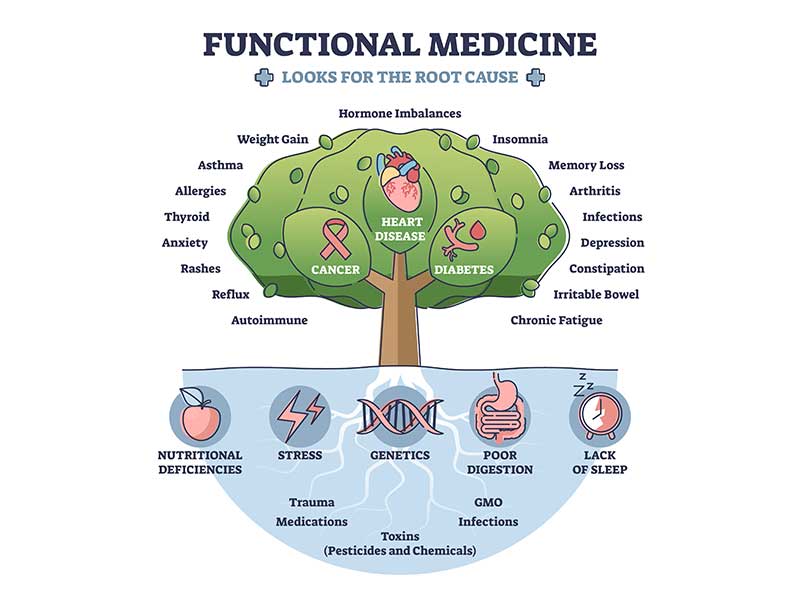 Function-tree chronic illness, lifestyle medicine, holistic health