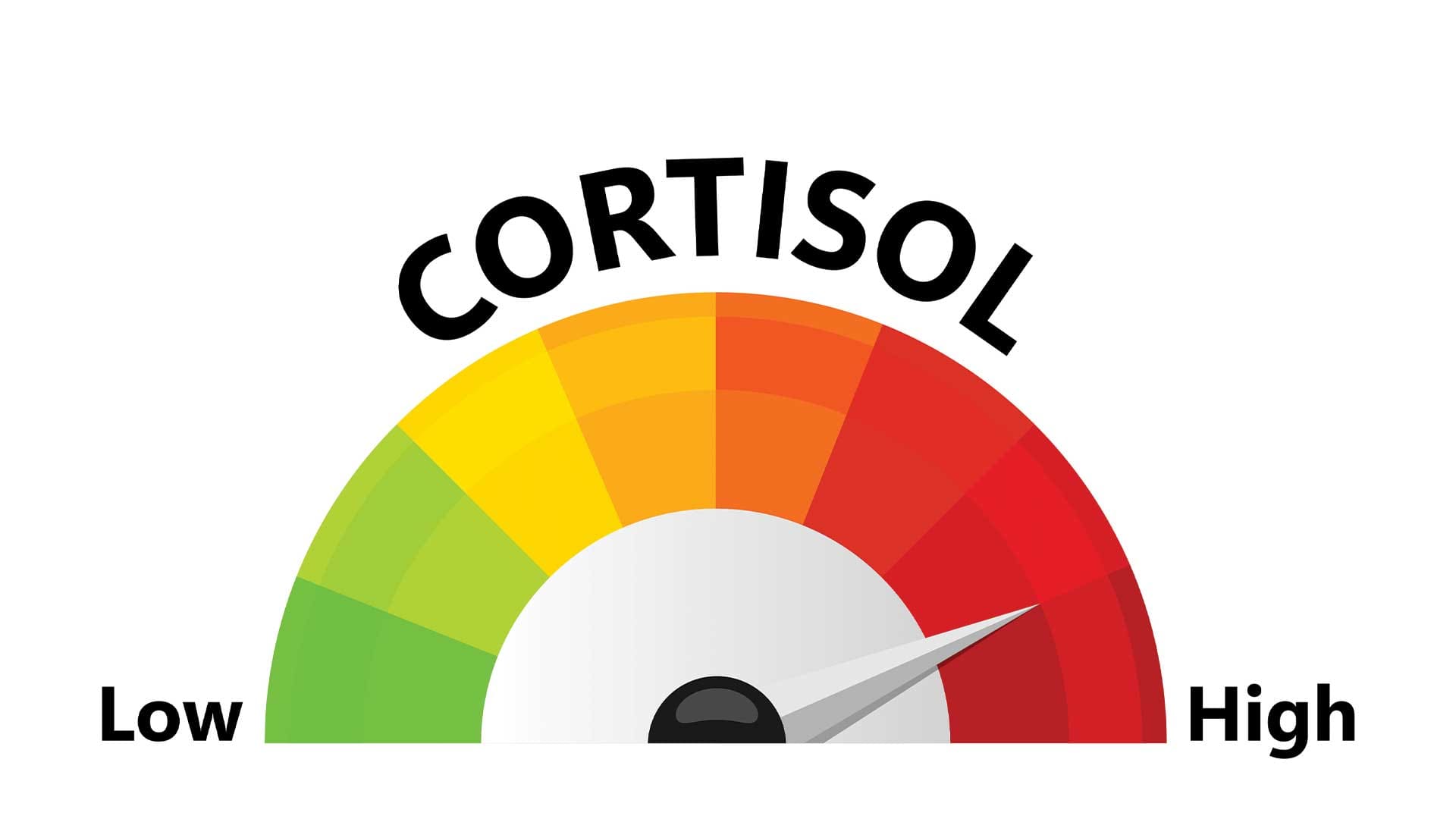 cortosal-blog