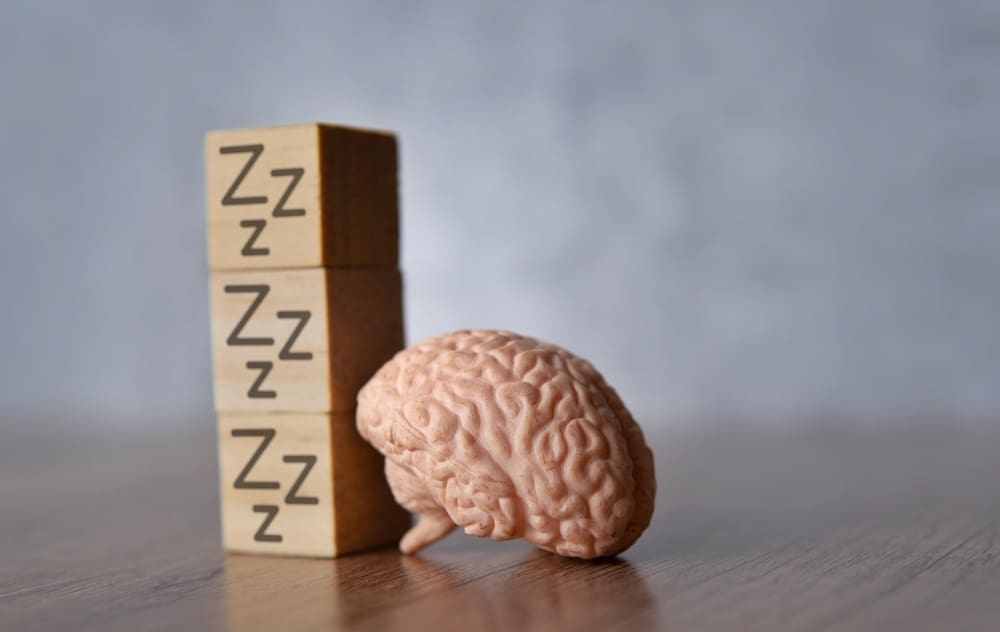 Closeup,Image,Of,Brain,And,Wooden,Cubes,With,Sleep,Icon.